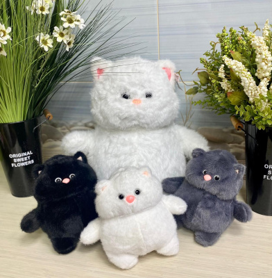 Котики